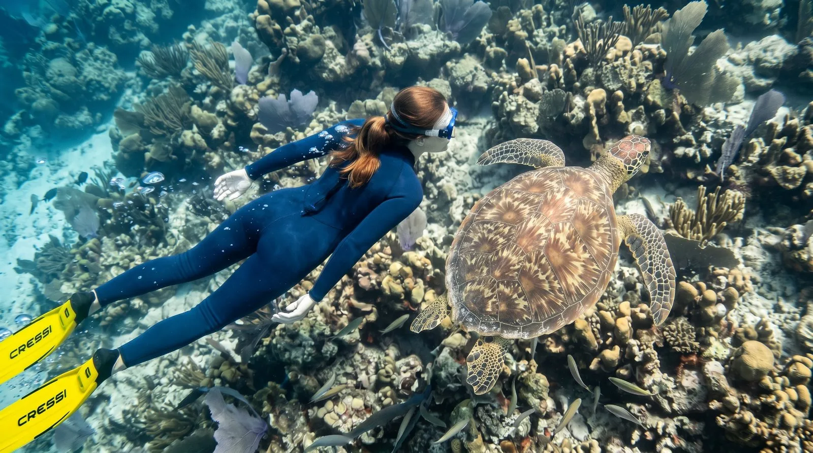 Underwater portrait with sea turtle, Florida reef